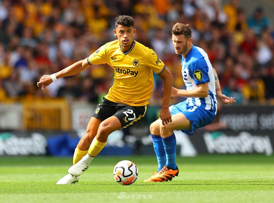 生成针对 生成针对